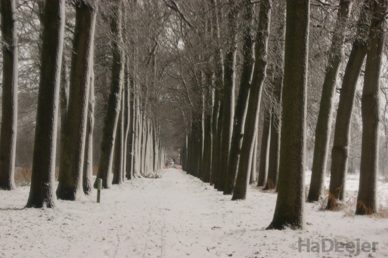 171210-PK-sneeuwval in Heeswijk-_9b_.JPG